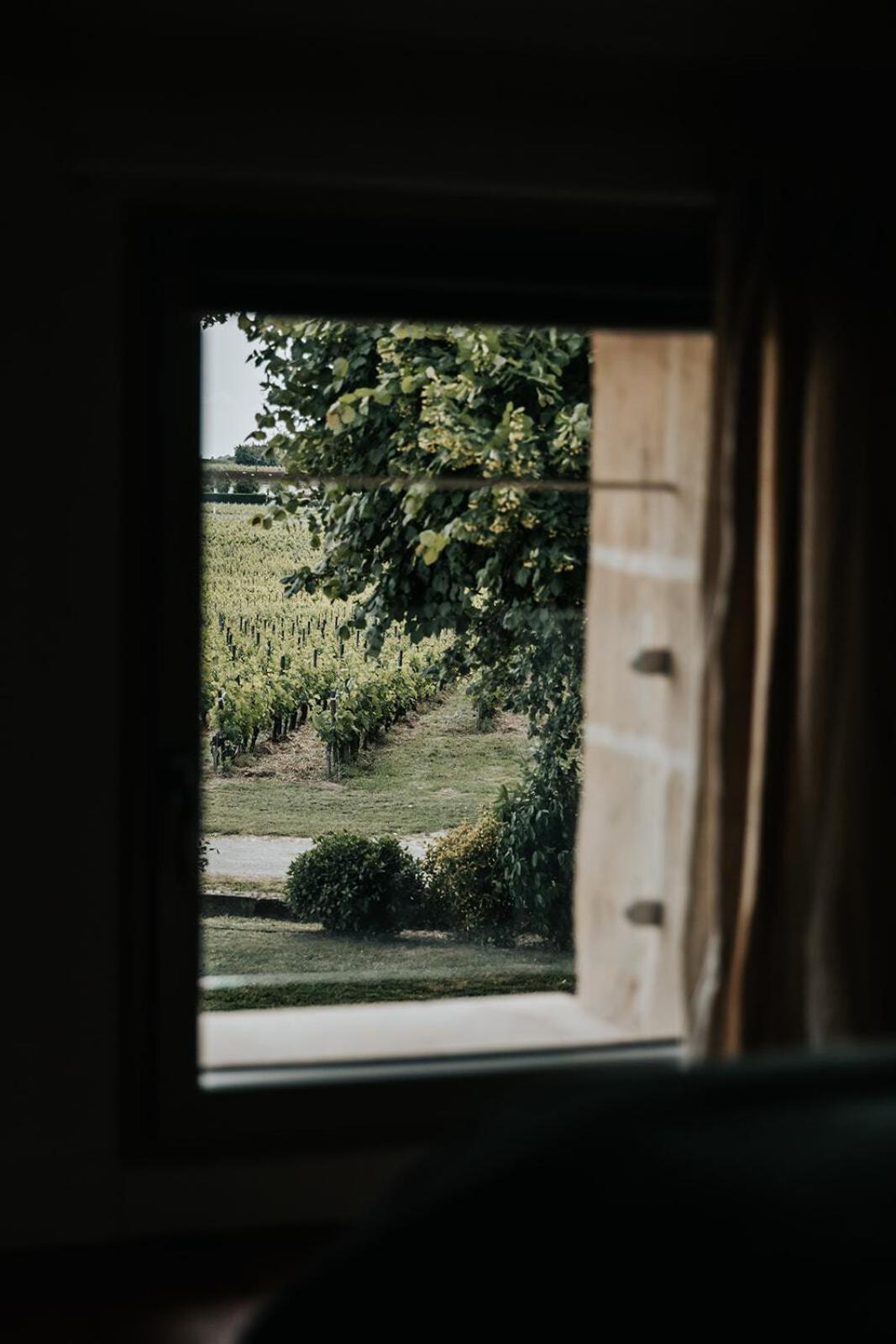 Château La Grande Clotte Lussac  Quarto foto