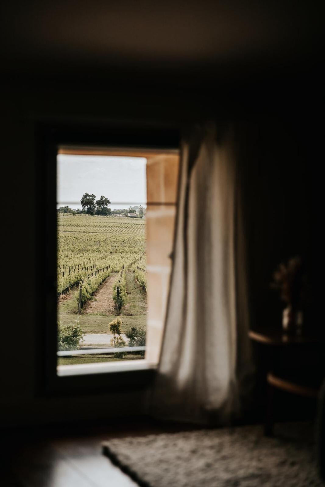 Château La Grande Clotte Lussac  Quarto foto