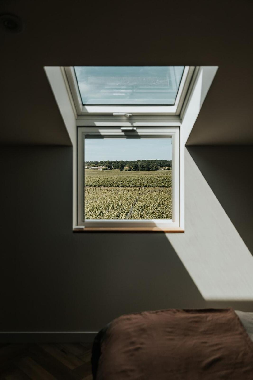Château La Grande Clotte Lussac  Quarto foto